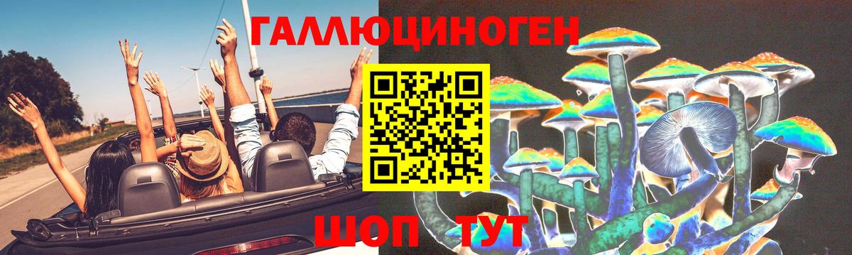 Псилоцибиновые грибы Psilocybine cubensis  Вход с VPN  хочу наркоту  Кимры 
